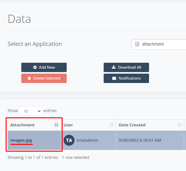 Data Page interface
