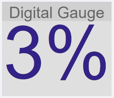 Digital Gauge