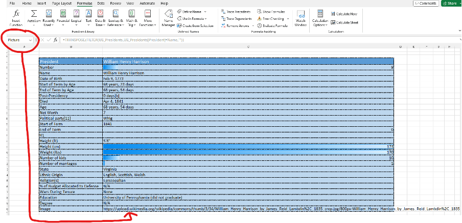 Inserting Dynamic Images Using URLs interface screenshot 26 in Print Process